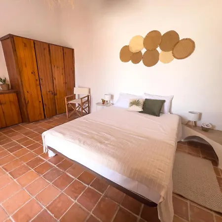 Palmeira Nature 3*