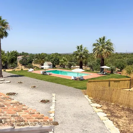 Palmeira Nature 3*